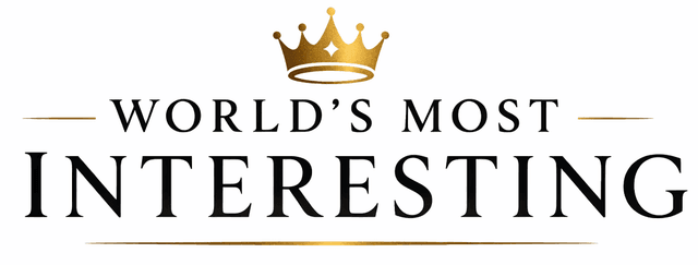 World's Most Interesting